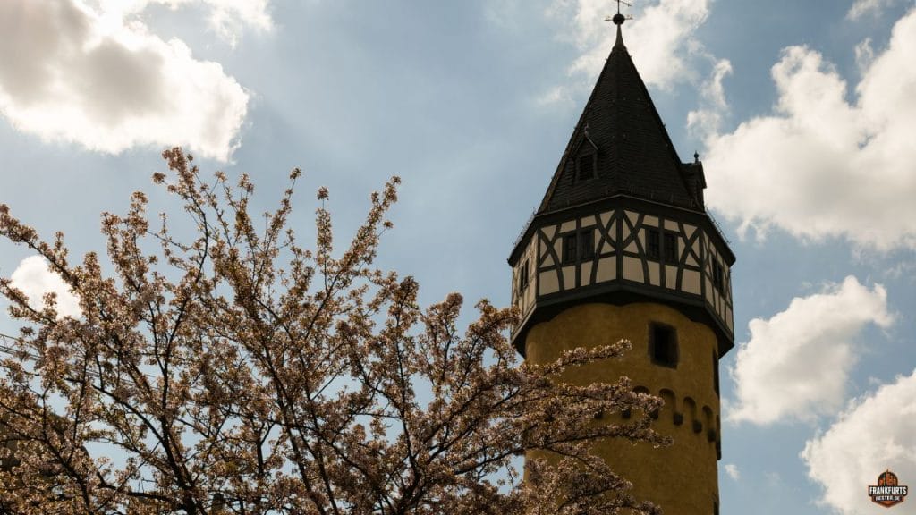 Bockenheimer Warte