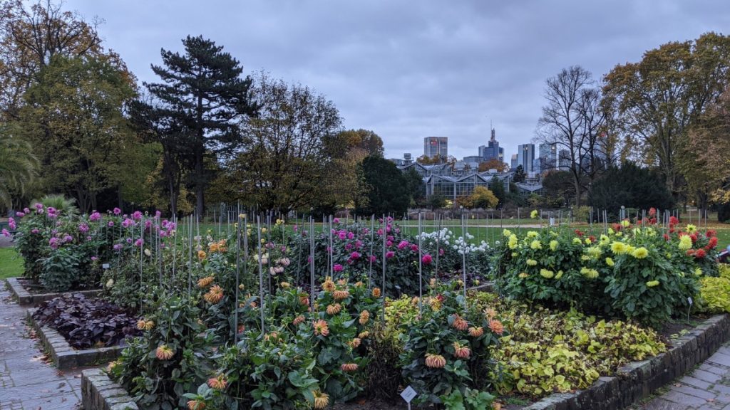 Grüneburgpark