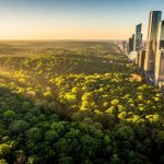 Der Frankfurter Stadtwald: Grüne Lunge und Erholungsoase der Mainmetropole