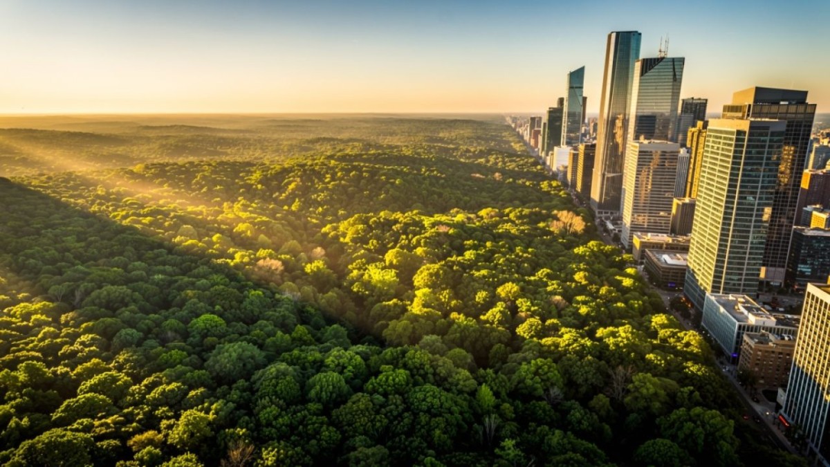 Der Frankfurter Stadtwald: Grüne Lunge und Erholungsoase der Mainmetropole