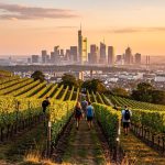 Weinwanderung am Lohrberg: Dein ultimativer Guide für Frankfurts grünes Weinparadies